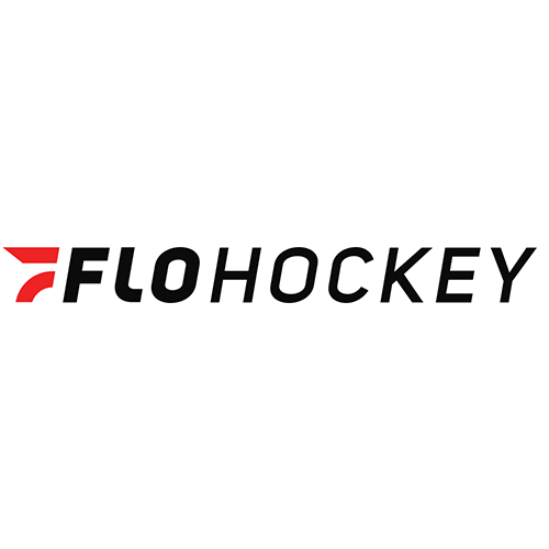 flohockey